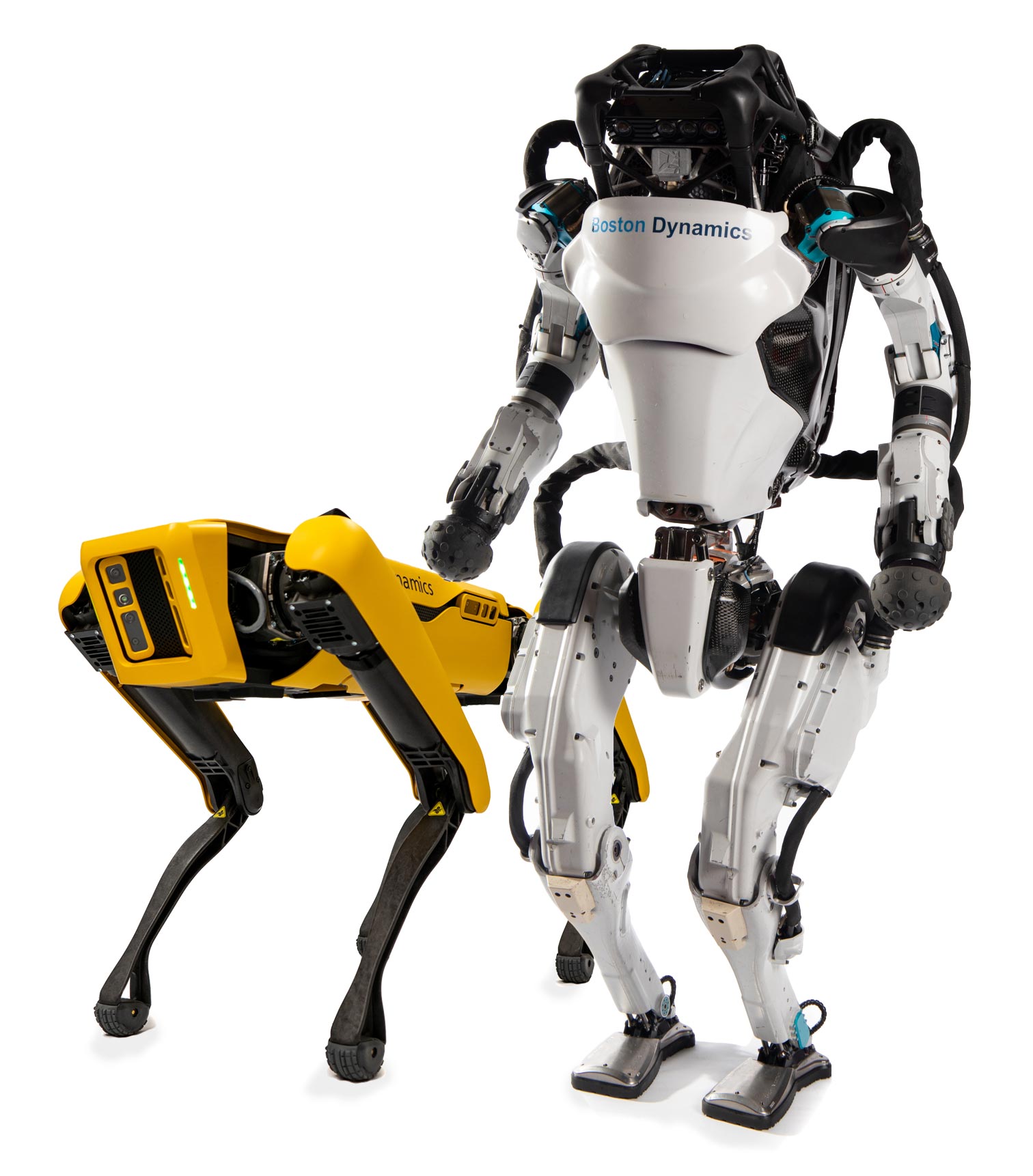 image of atlas and spot robots